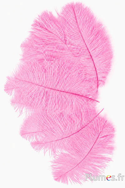 Struisvogel  - 13-18 cm - roze
